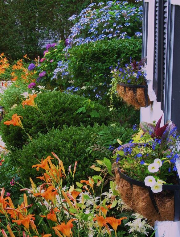 The 1720 House Bed & Breakfast Vineyard Haven Exterior photo
